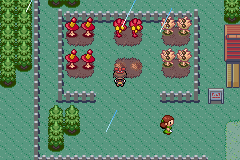 screenshots/Game Boy Advance/Pokemon - Emerald - Ruby - Sapphire/Pokemon Sapphire (Eng) 087.png
